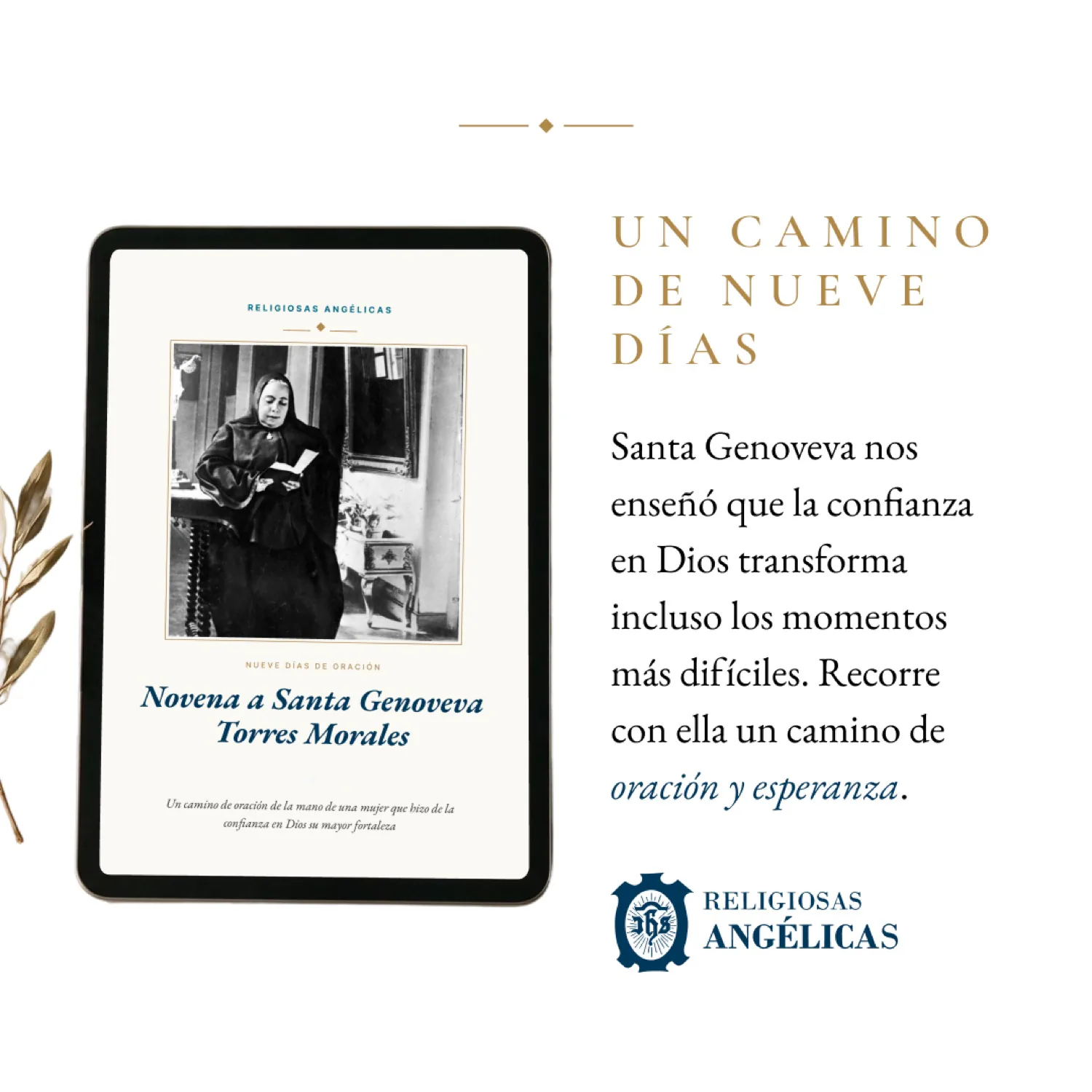 Carrusel B · «Un camino de nueve días»