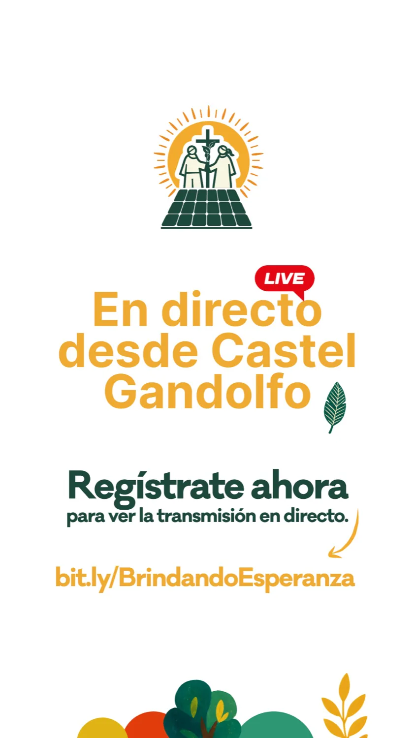 Pieza de transmisión en directo