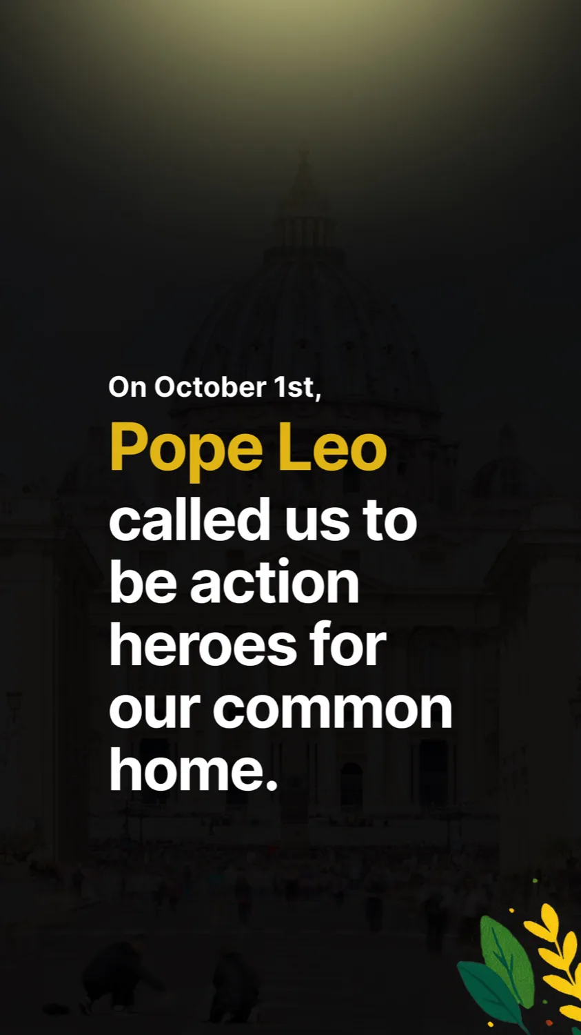 Cita del Papa León XIV